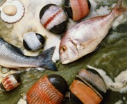 Морепродукты